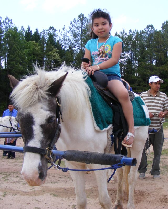 Photo of Frosty, a pinto pony, with rider, at a church event.