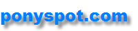 The name ponyspot.com
